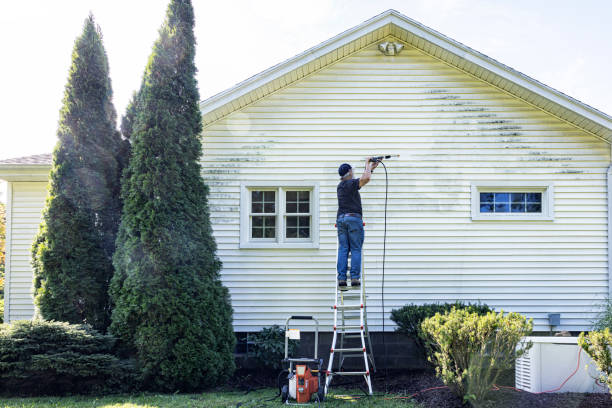 Best Sidewalk and Walkway Cleaning  in Greendale, WI